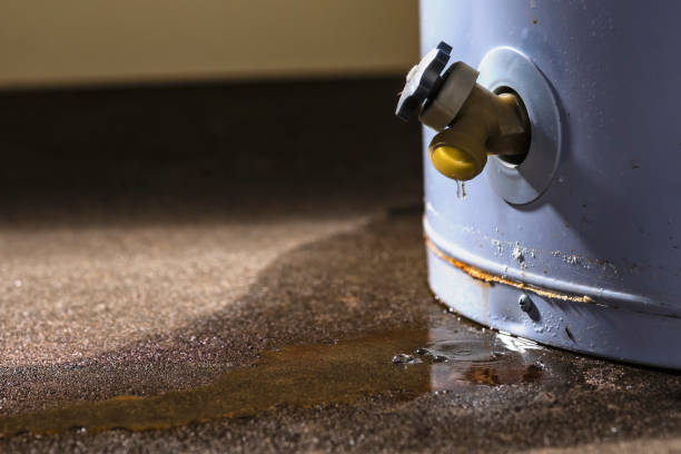 Best Flood damage cleanup  in Deer Park, NY