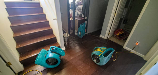 Best Water damage cleanup near me  in Deer Park, NY