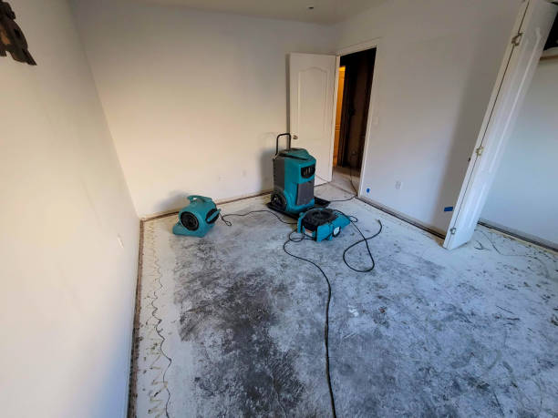 Best Carpet water damage restoration  in Deer Park, NY